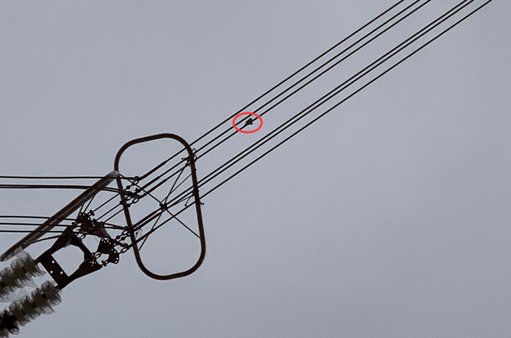 初心如磐，特力康高壓輸電線路導(dǎo)線溫度在線監(jiān)測系統(tǒng)